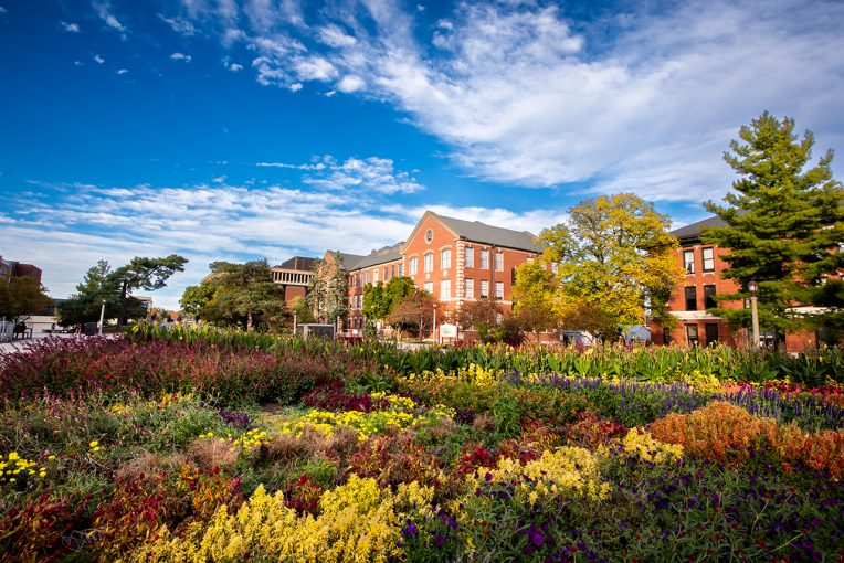 Transfer Process Illinois State University Study in USA